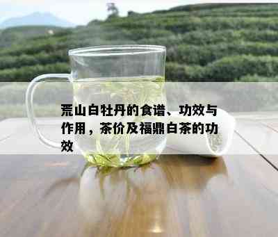 荒山白牡丹的食谱、功效与作用，茶价及福鼎白茶的功效