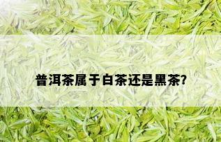 普洱茶属于白茶还是黑茶？