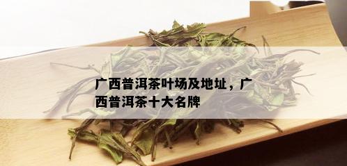 广西普洱茶叶场及地址，广西普洱茶十大名牌