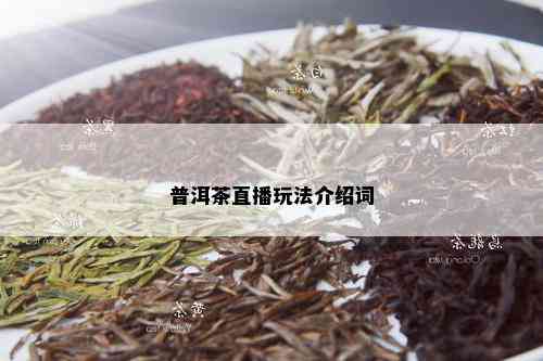 普洱茶直播玩法介绍词