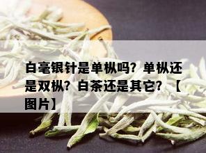 白毫银针是单枞吗？单枞还是双枞？白茶还是其它？【图片】