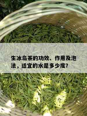 生冰岛茶的功效、作用及泡法，适宜的水是多少度？