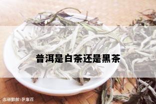 普洱是白茶还是黑茶