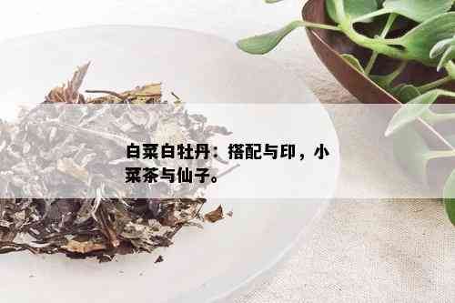 白菜白牡丹：搭配与印，小菜茶与仙子。