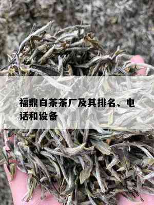 福鼎白茶茶厂及其排名、电话和设备