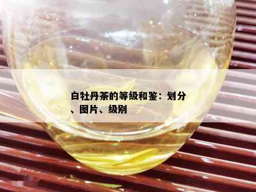 白牡丹茶的等级和鉴：划分、图片、级别