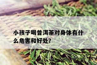 小孩子喝普洱茶对身体有什么危害和好处？