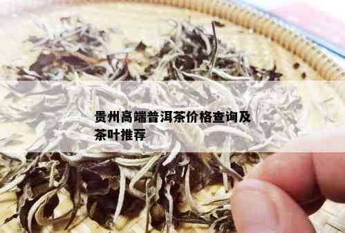 贵州高端普洱茶价格查询及茶叶推荐