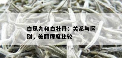 白凤九和白牡丹：关系与区别，美丽程度比较