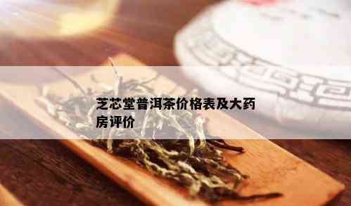 芝芯堂普洱茶价格表及大房评价