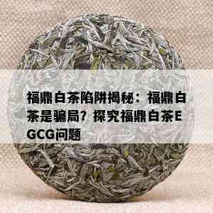 福鼎白茶陷阱揭秘：福鼎白茶是骗局？探究福鼎白茶EGCG问题