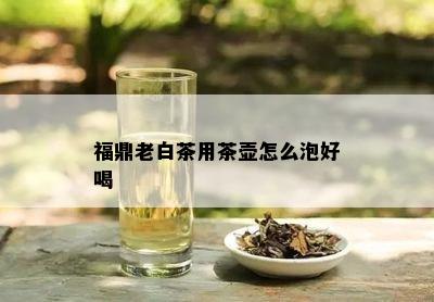 福鼎老白茶用茶壶怎么泡好喝