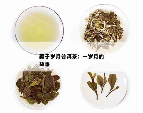 藏于岁月普洱茶：一岁月的故事