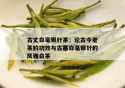 古丈白毫银针茶：论古今老茶的功效与古墓白毫银针的风雅白茶