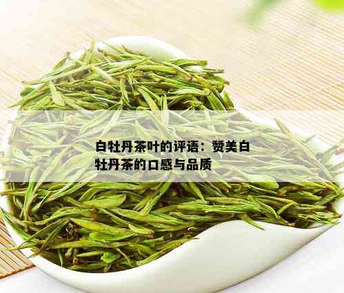 白牡丹茶叶的评语：赞美白牡丹茶的口感与品质