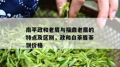 南平政和老眉与福鼎老眉的特点及区别，政和白茶眉茶饼价格