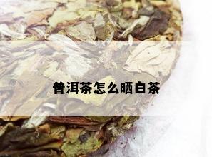 普洱茶怎么晒白茶