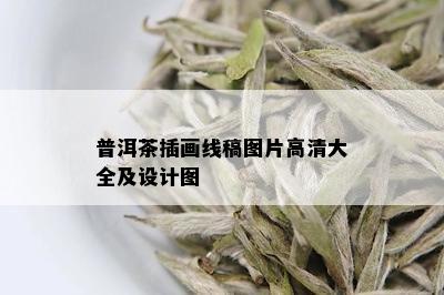 普洱茶插画线稿图片高清大全及设计图