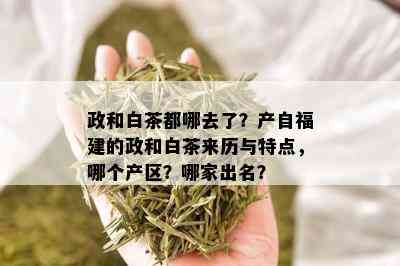 政和白茶都哪去了？产自福建的政和白茶来历与特点，哪个产区？哪家出名？