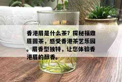 香港眉是什么茶？探秘福鼎眉圆茶，感受香港茶艺乐园。眉香型独特，让您体验香港眉的醇香。