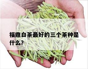 福鼎白茶更好的三个茶种是什么？