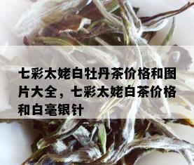 七彩太姥白牡丹茶价格和图片大全，七彩太姥白茶价格和白毫银针