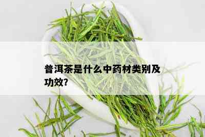 普洱茶是什么中材类别及功效？