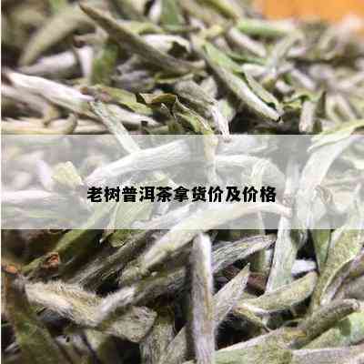 老树普洱茶拿货价及价格