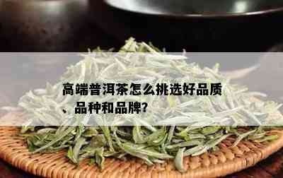 高端普洱茶怎么挑选好品质、品种和品牌？