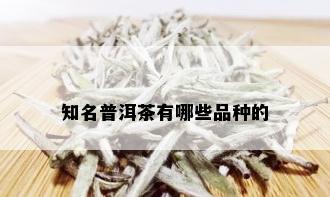 知名普洱茶有哪些品种的