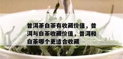 普洱茶白茶有收藏价值，普洱与白茶收藏价值，普洱和白茶哪个更适合收藏