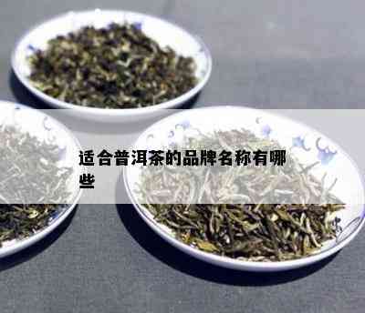 适合普洱茶的品牌名称有哪些