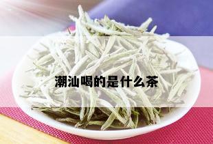 潮汕喝的是什么茶