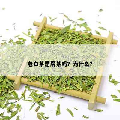 老白茶是眉茶吗？为什么？