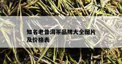 知名老普洱茶品牌大全图片及价格表