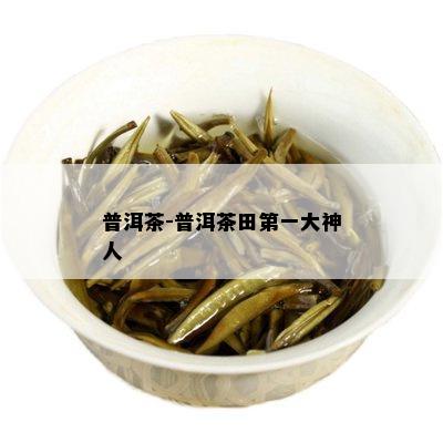 普洱茶-普洱茶田之一大神人