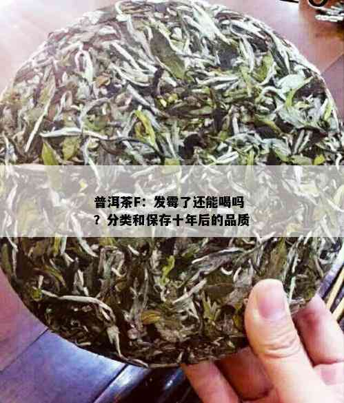 普洱茶F：发霉了还能喝吗？分类和保存十年后的品质