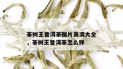 茶树王普洱茶图片高清大全，茶树王普洱茶怎么样