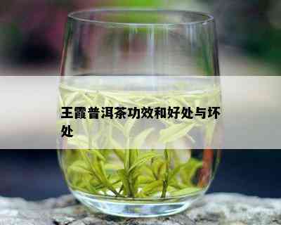 王霞普洱茶功效和好处与坏处