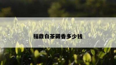 福鼎白茶藏香多少钱