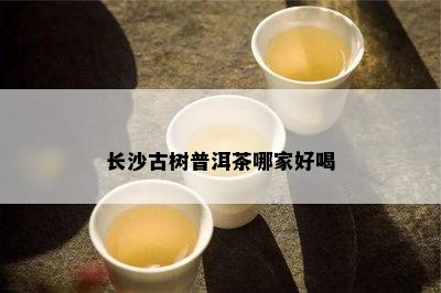 长沙古树普洱茶哪家好喝