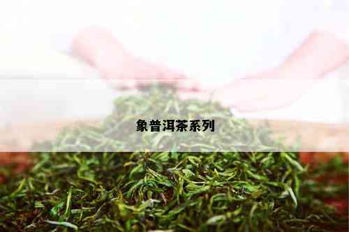 象普洱茶系列