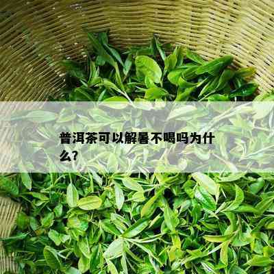 普洱茶可以解暑不喝吗为什么？