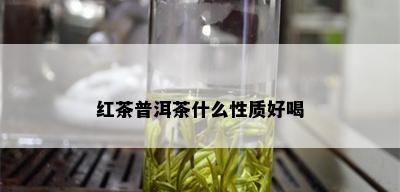 红茶普洱茶什么性质好喝