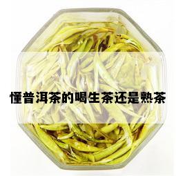 懂普洱茶的喝生茶还是熟茶