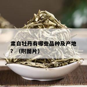 肃白牡丹有哪些品种及产地？（附图片）