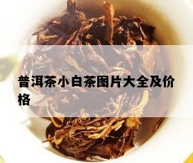 普洱茶小白茶图片大全及价格