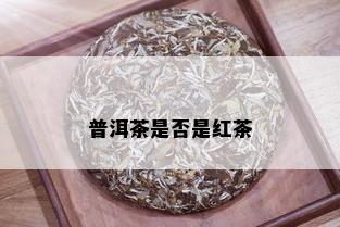 普洱茶是否是红茶