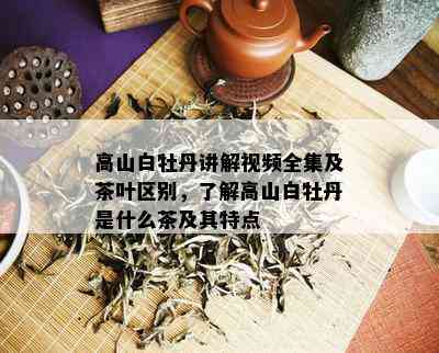 高山白牡丹讲解视频全集及茶叶区别，了解高山白牡丹是什么茶及其特点