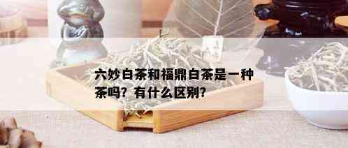 六妙白茶和福鼎白茶是一种茶吗？有什么区别？